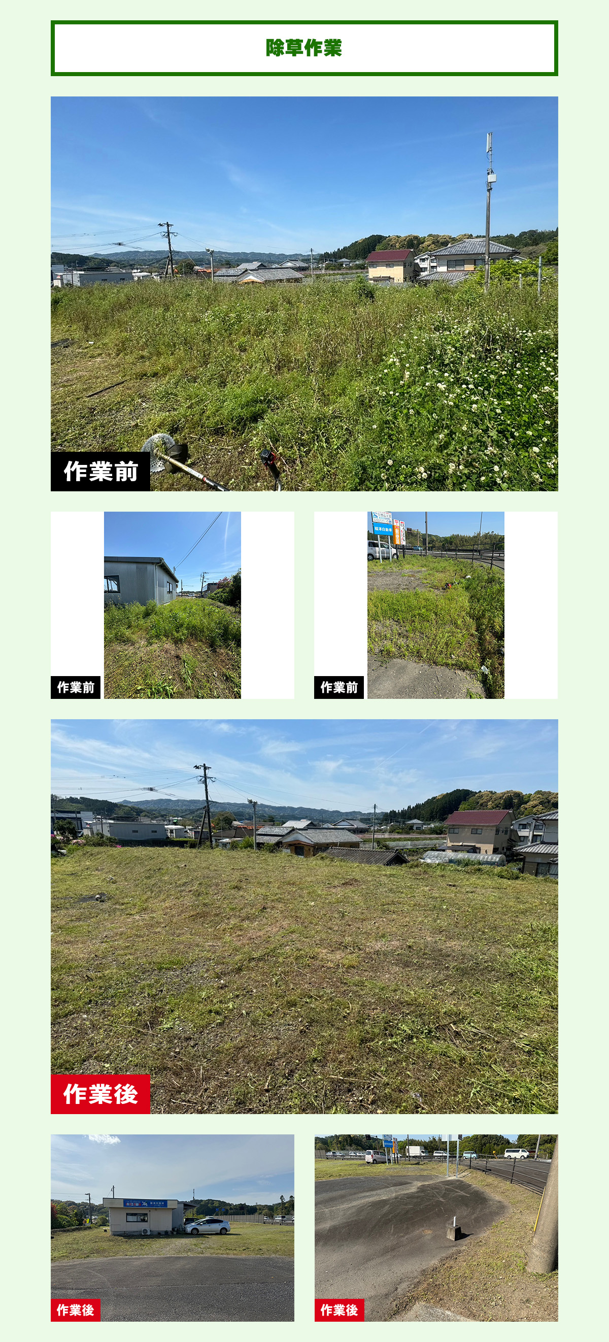 除草作業