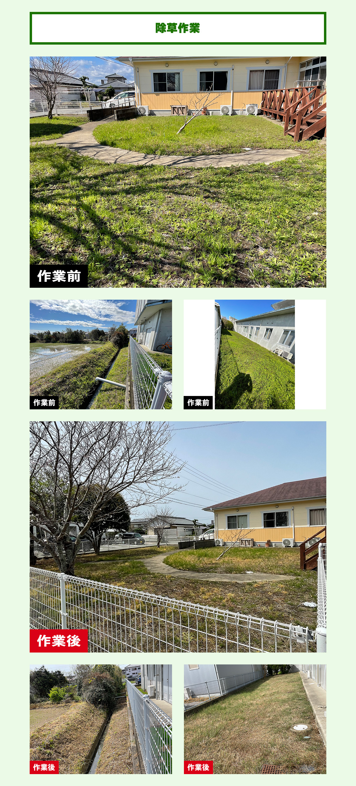 除草作業