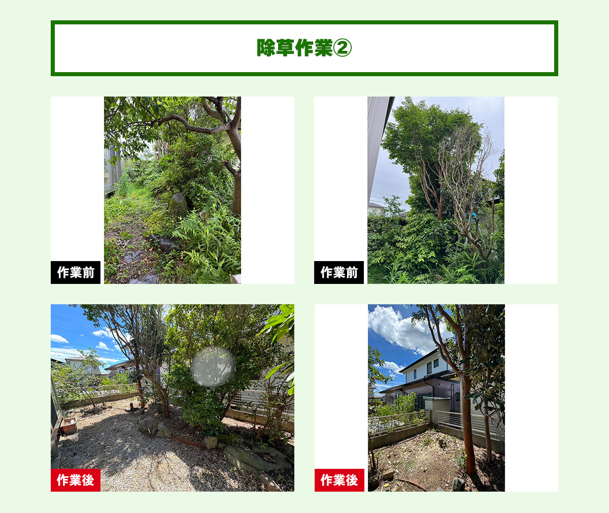 除草作業②