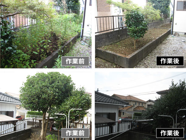 庭の除草作業・庭木の撤去