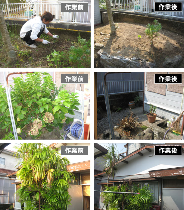 庭の除草作業・庭木の剪定（せんてい）